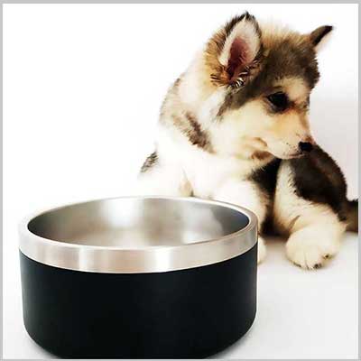 Stainless steel dog bowls